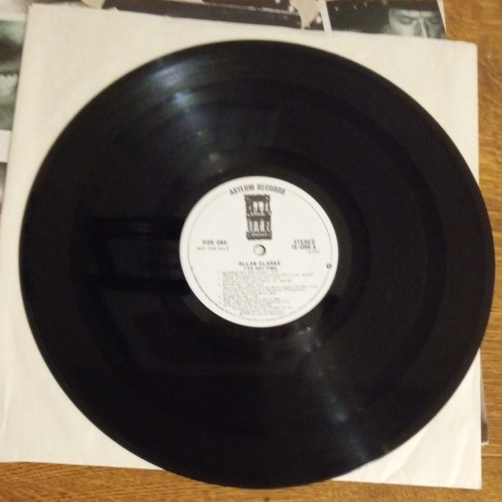 - I've Got Time Vinyl Record - Picture 3 of 3